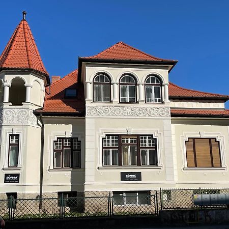 Vila Marioara Sibiu Dış mekan fotoğraf